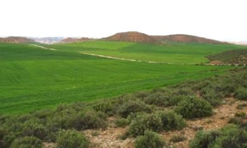 suelos-rusticos